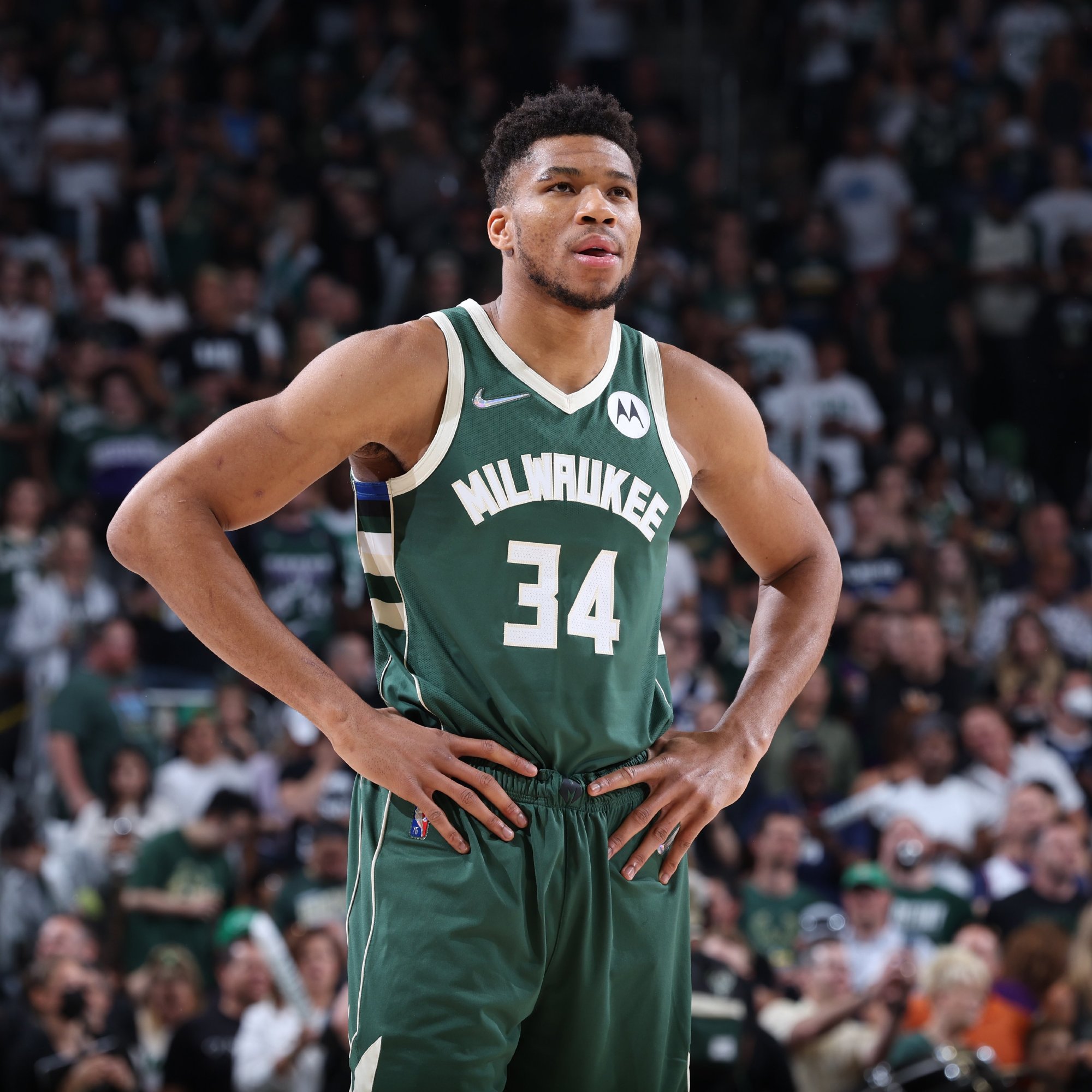 妻子祝贺塞鸟：无比骄傲，你就像一道光照亮了我们全家的生活（妻子深情贺塞鸟：无比自豪，你是照亮全家的那束光）